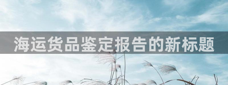 公海赌赌船官网jc710 下载