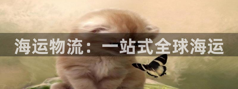 欢迎上船