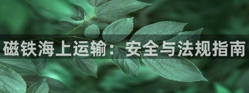 欢迎您来到公海欢迎您来到赌船