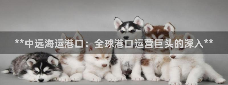 公海赌赌船官网jc710