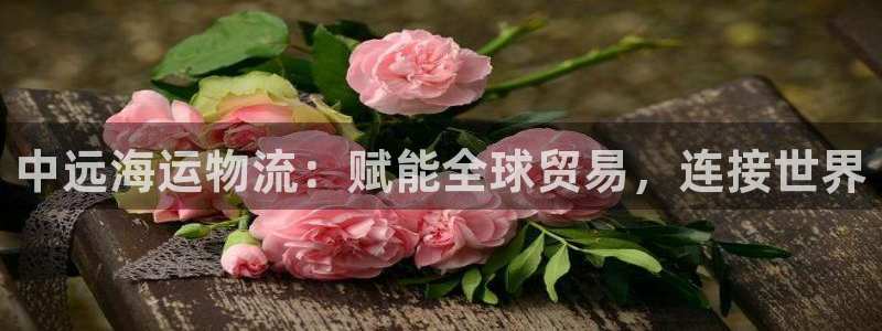 欢迎来到公海555000
