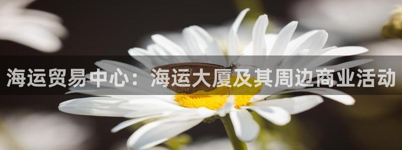 公海赌赌船官网是真的吗