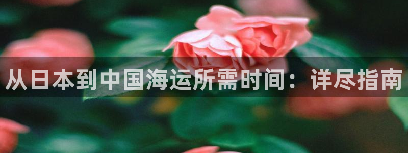 公海赌博犯法吗