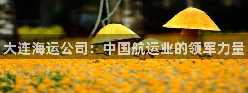 欢迎您来到公海欢迎来到赌船