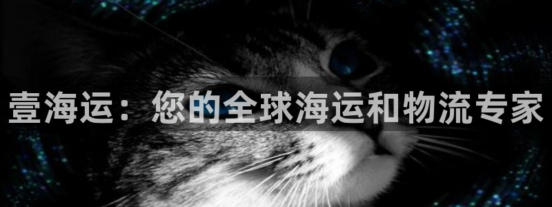 欢迎来到公海堵船