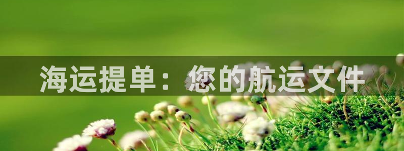 公海赌赌船官网710登录