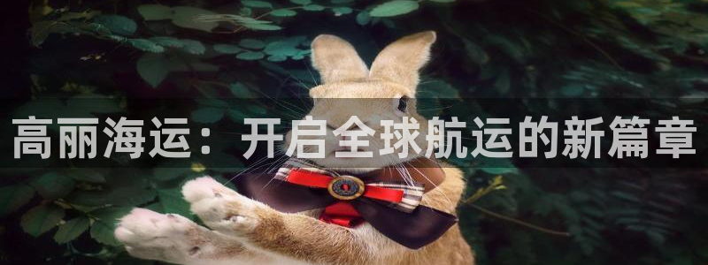 欢迎你来到公主的海岛