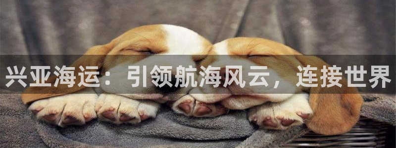 欢迎公海来到赌船710
