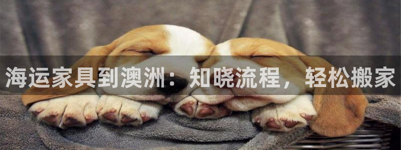 公海赌赌船系统维护要多久
