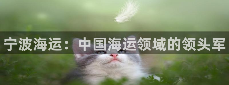 欢迎来到公海欢迎来到赌船710