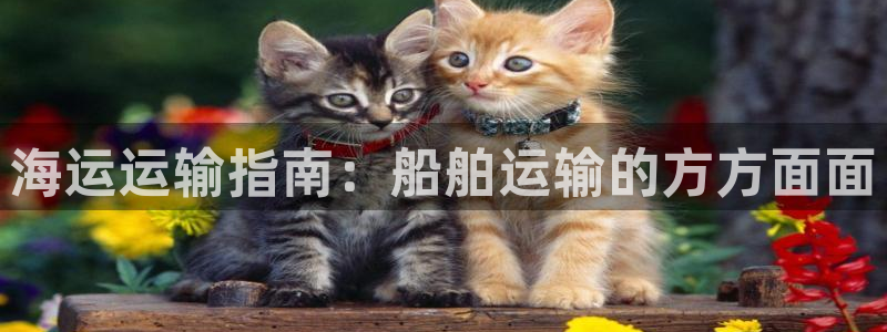 欢迎来公海欢迎来到赌船!
