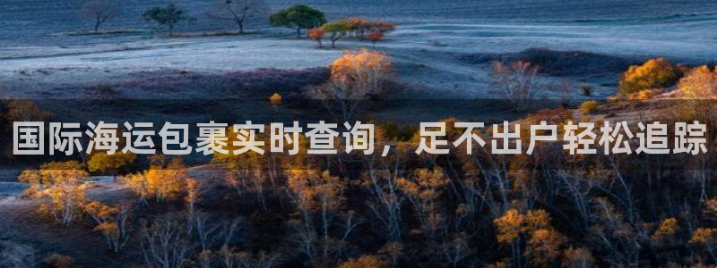 公海赌赌船手机下载