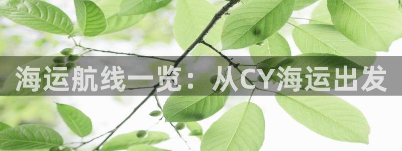 欢迎上船