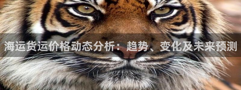 欢迎来公海欢迎来到赌船