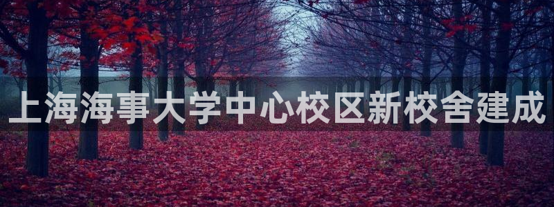 公海赌赌船手机下载