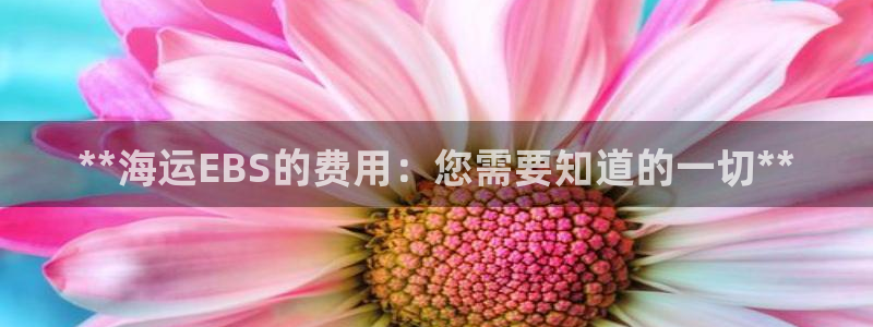 欢迎您来到公海