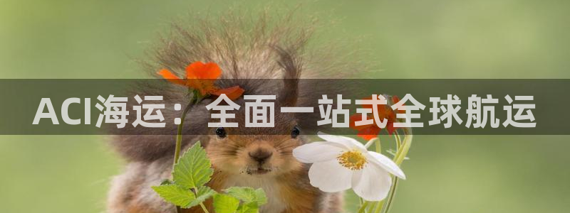 欢迎来到海牛星简谱