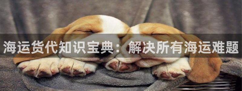 欢迎来到公海欢迎来到赌船!!