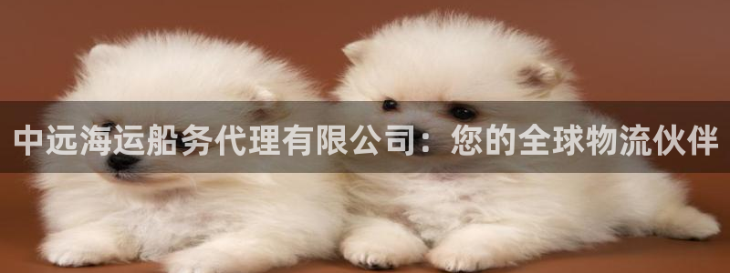欢迎您到公海赌来