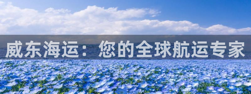 欢迎来到赌船公海710