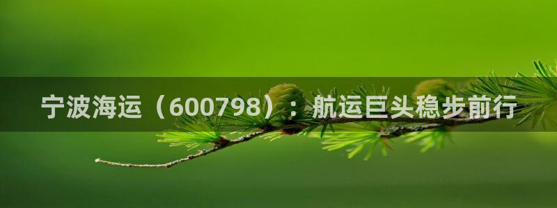 公海赌赌船利息宝是真的吗