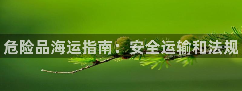 欢迎来到公海电脑版