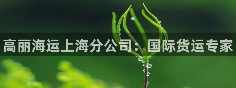 公海欢迎来到赌船