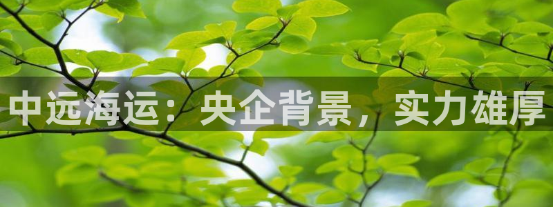 公海赌赌船官网图标
