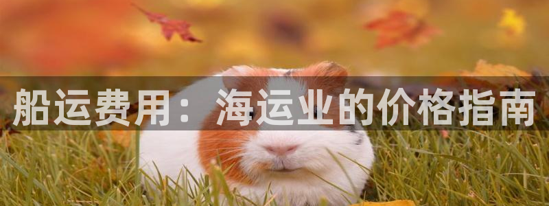 公海赌赌船710检测路线