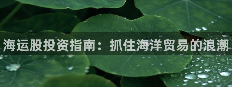 欢迎来到公海电脑版