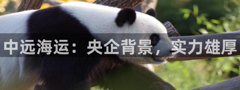 欢迎来到公海欢迎来到