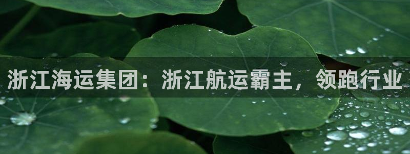 公海赌船官方