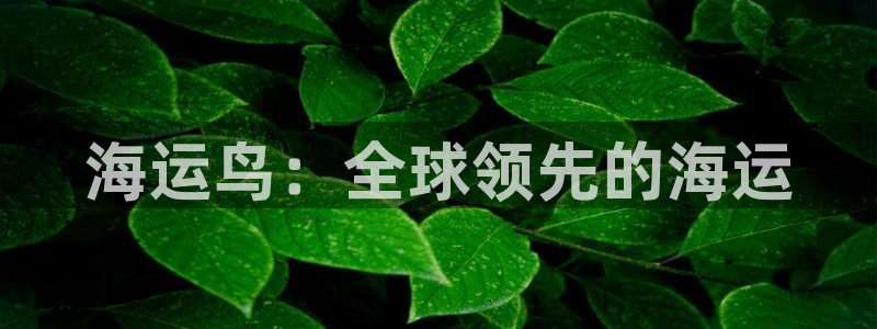 公海赌船怎么样