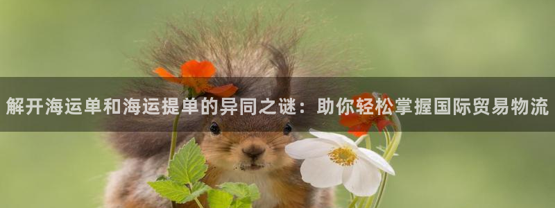 公海赌船网页