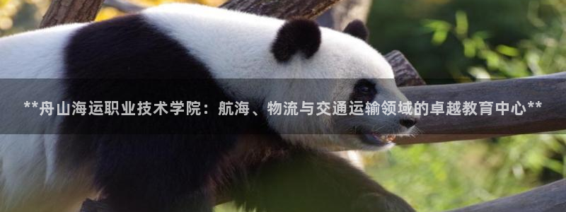 欢迎来到大海