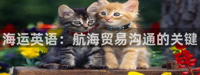 公海赌钱很大吗