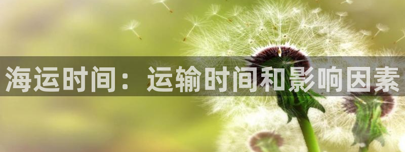 公海赌船网址710