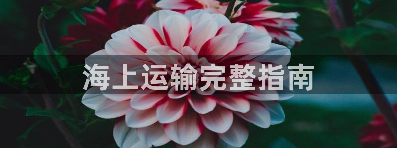 公海赌赌船官网jc7