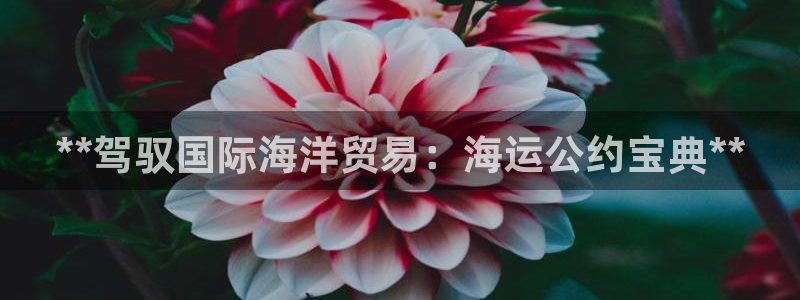 欢迎来到公海欢迎来到赌船