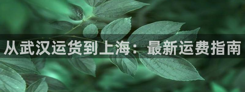 在公海赌博不违法吗