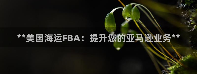 欢迎来到赌船公海710