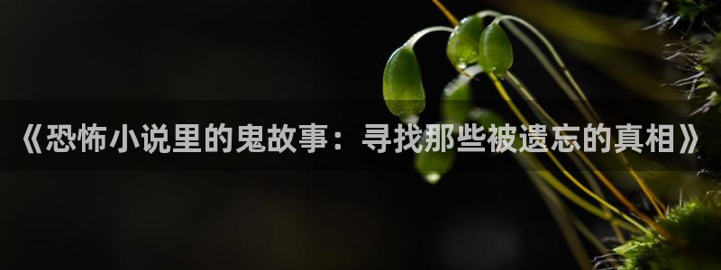 鸠摩搜书pdf：《恐怖小说里的鬼故事：寻找那些被遗忘的真相》