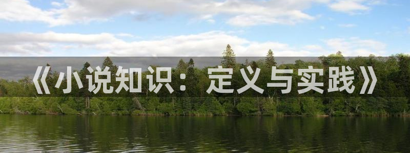 鸠摩搜书书：《小说知识：定义与实践》