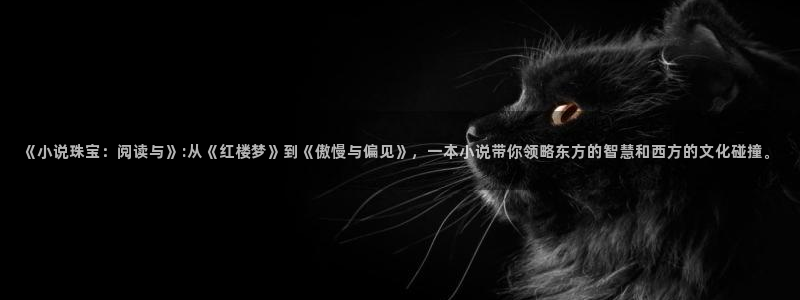 鸠摩搜书txt下载网站：《小说珠宝：阅读与》:从《红楼梦》到《傲慢与偏见》，一本小说带你领略东方的智慧和西方的文化碰撞。