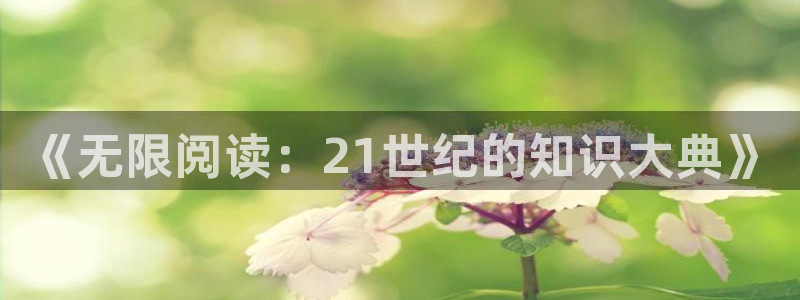 鸠摩搜书怎么下载电子书：《无限阅读：21世纪的知识大典》